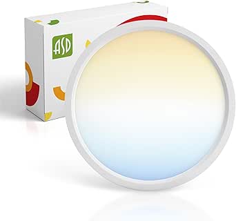 LED 7'' Ceiling Rnd Lamp12w 6k